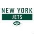 NFL New York Jets White Performance Series PS4 Slim Skin