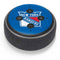NHL New York Rangers Lineup Amazon Echo Dot Skin