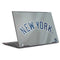 MLB New York Yankees Alternate/Away Jersey HP Envy Skin