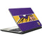 NFL Minnesota Vikings Zone Block Satellite L50-B / S50-B Skin