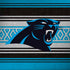 NFL Carolina Panthers Trailblazer HP Spectre Skin