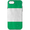 Nigeria Flag Distressed iPhone 8 Pro Case