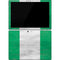 Nigeria Flag Distressed Surface Pro 7 Skin