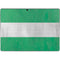 Nigeria Flag Distressed Surface Pro 9 Skin