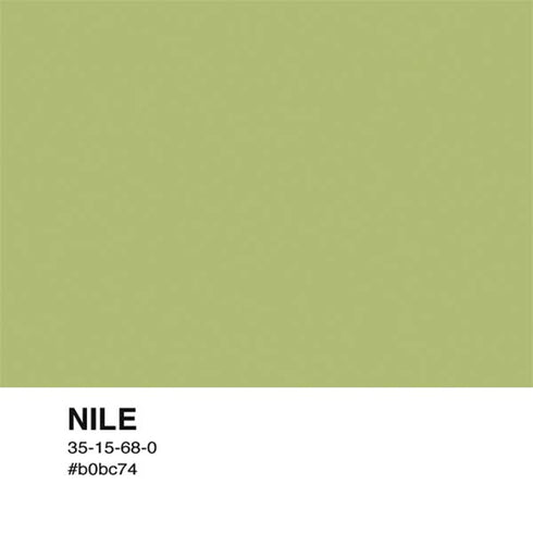 Nile Color Palette Nintendo 2DS XL (2017) Skin