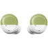 Nile Color Palette Galaxy Buds Plus Skin