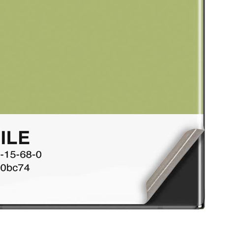 Nile Color Palette Galaxy Note20 Ultra 5G Skin