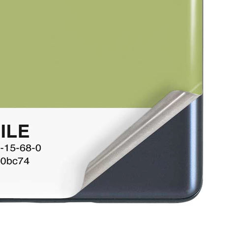 Nile Color Palette Galaxy S20 Fan Edition Skin