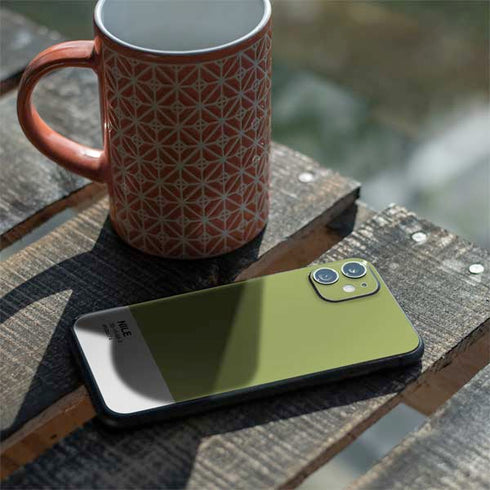 Nile Color Palette iPhone 11 Skin
