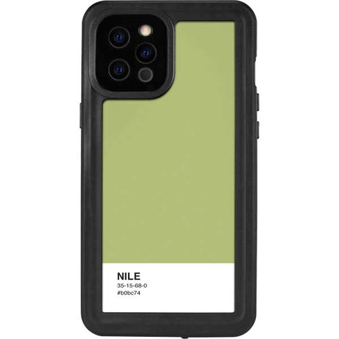 Nile Color Palette iPhone 12 Pro Max Waterproof Case