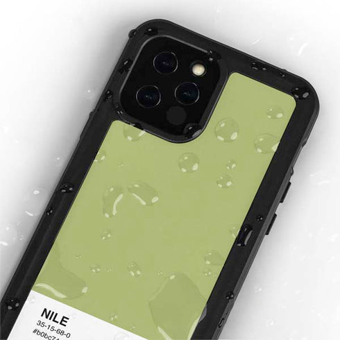 Nile Color Palette iPhone 12 Pro Max Waterproof Case