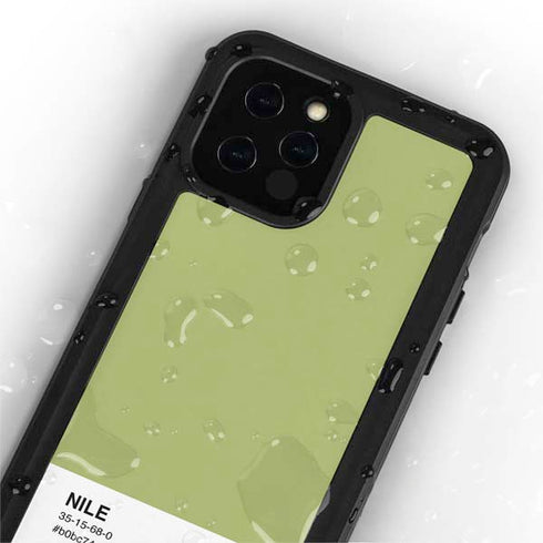 Nile Color Palette iPhone 12 Pro Waterproof Case
