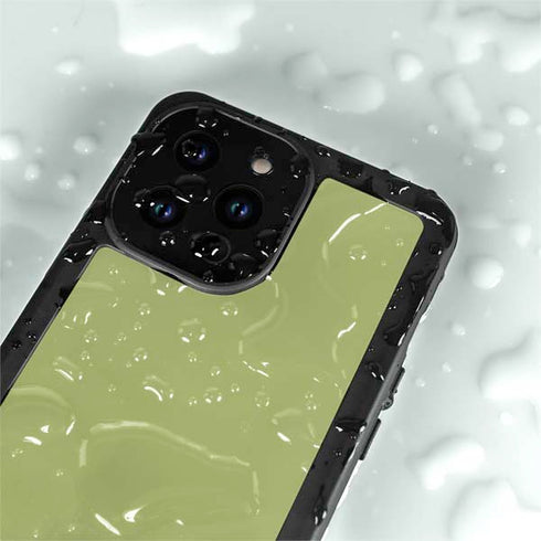 Nile Color Palette iPhone 14 Pro Max Waterproof Case