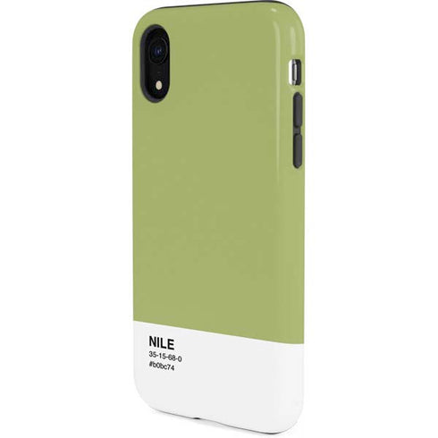 Nile Color Palette iPhone XR Pro Case