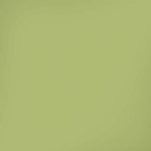 Nile Color Palette iPhone XR Pro Case
