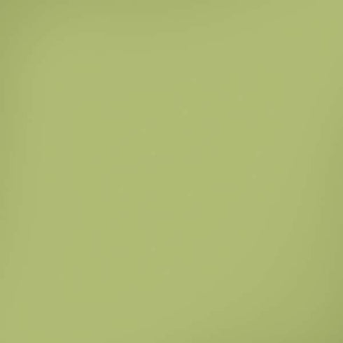 Nile Color Palette iPhone XR Skin