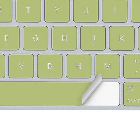 Nile Color Palette Magic Keyboard Skin