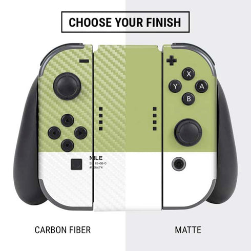 Nile Color Palette Nintendo Switch Bundle Skin