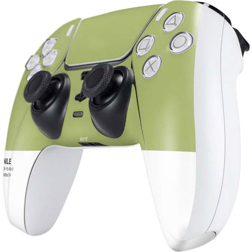 Nile Color Palette PS5 Controller Skin