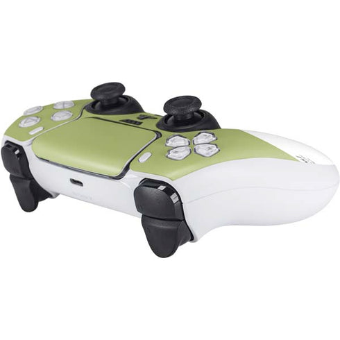 Nile Color Palette PS5 Controller Skin