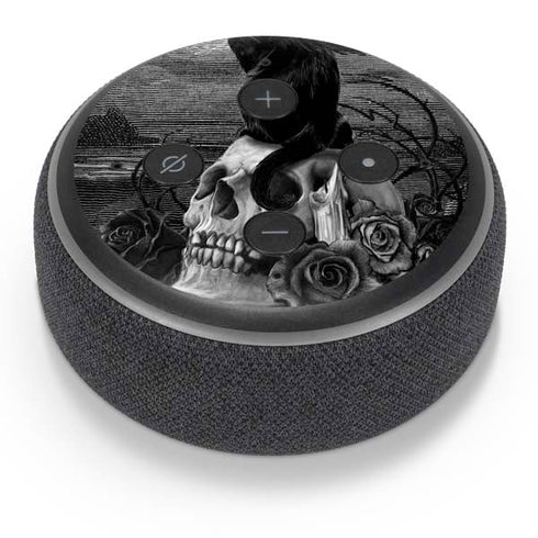 Alchemy Nine Lives of Poe Amazon Echo Dot Skin