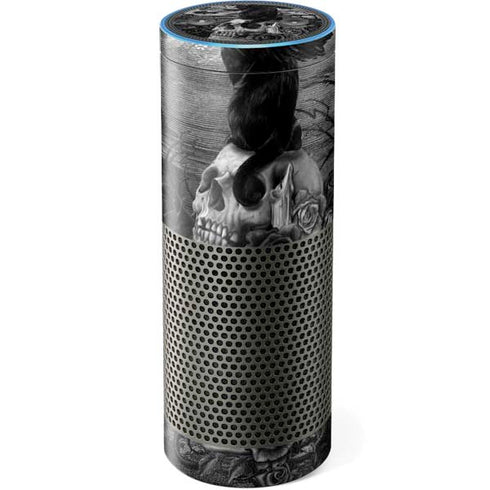 Alchemy Nine Lives of Poe Amazon Echo Skin