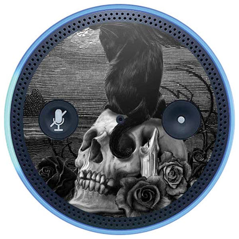 Alchemy Nine Lives of Poe Amazon Echo Skin