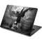 Alchemy Nine Lives of Poe Dell Chromebook Skin