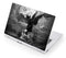 Alchemy Nine Lives of Poe Acer Chromebook Skin