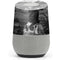 Alchemy Nine Lives of Poe Google Home Skin