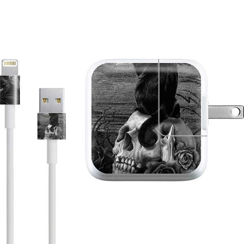 Alchemy Nine Lives of Poe iPad Charger (10W USB) Skin