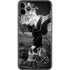 Alchemy Nine Lives of Poe iPhone 11 Pro Max Skin