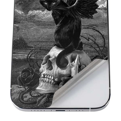 Alchemy Nine Lives of Poe iPhone 12 Pro Max Skin