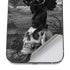 Alchemy Nine Lives of Poe iPhone 12 Pro Max Skin