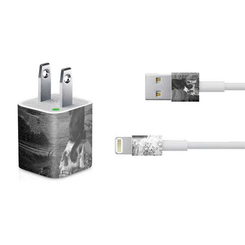 Alchemy Nine Lives of Poe iPhone Charger (5W USB) Skin
