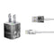 Alchemy Nine Lives of Poe iPhone Charger (5W USB) Skin