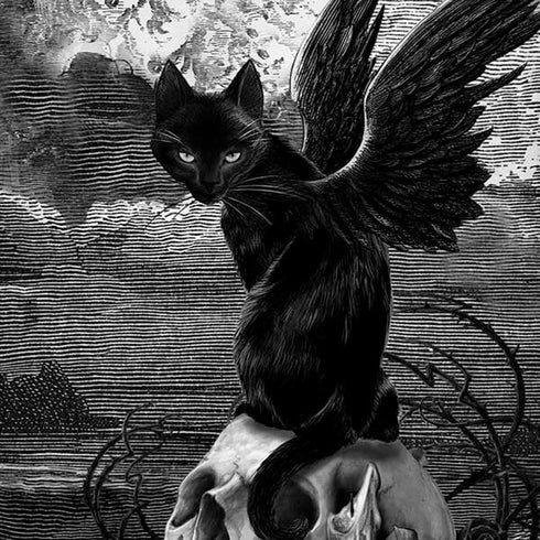 Alchemy Nine Lives of Poe iPhone XS Max Skin