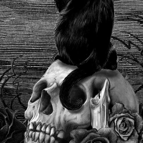 Alchemy Nine Lives of Poe Moto E5 Play Skin