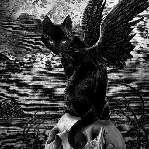 Alchemy Nine Lives of Poe Moto G6 Skin