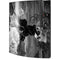 Alchemy Nine Lives of Poe Playstation 3 & PS3 Skin