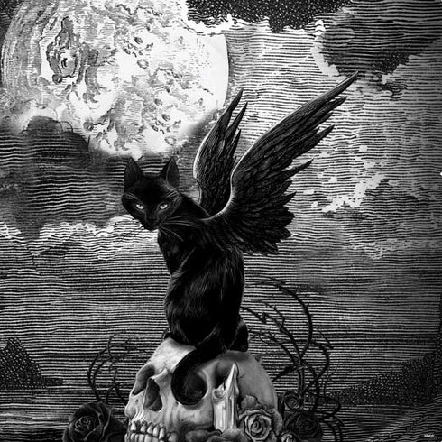 Alchemy Nine Lives of Poe PS4 Console and Controller Bundle Skin