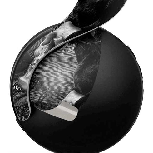 Alchemy Nine Lives of Poe PULSE 3D Wireless Headset for PS5 Skin