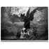 Alchemy Nine Lives of Poe Surface Book 2 13.5in Skin