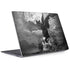 Alchemy Nine Lives of Poe Surface Laptop 2 Skin