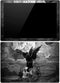 Alchemy Nine Lives of Poe Surface Pro (2017) Skin