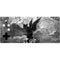 Alchemy Nine Lives of Poe Xbox Adaptive Controller Skin