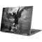 Alchemy Nine Lives of Poe Yoga 710 14in Skin