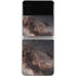 Northern Summer Milky Way Galaxy Z Flip3 5G Skin