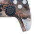 Northern Summer Milky Way PS5 Controller Skin