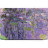 Claude Monet Nympheas, 1916-19 Dell Vostro Skin